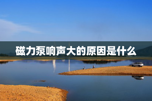 磁力泵响声大的原因是什么