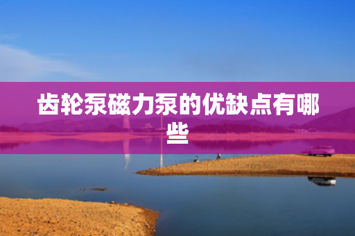 齿轮泵磁力泵的优缺点有哪些