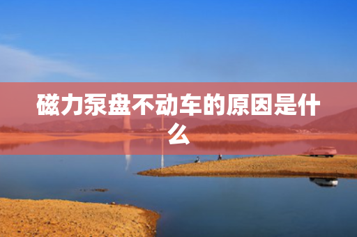 磁力泵盘不动车的原因是什么