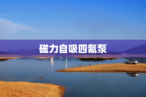 磁力自吸四氟泵