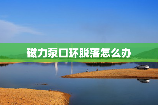 磁力泵口环脱落怎么办