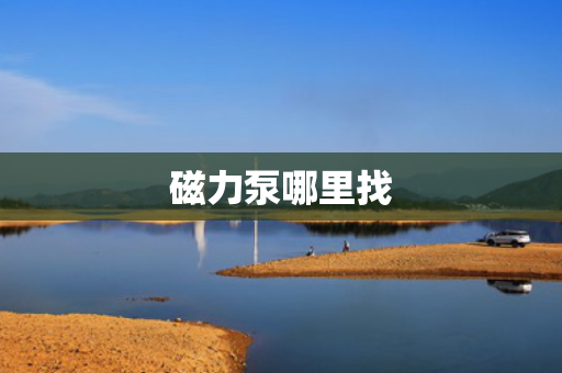 磁力泵哪里找