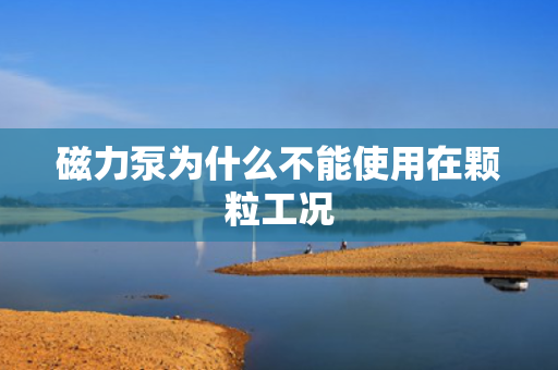 磁力泵为什么不能使用在颗粒工况