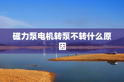 磁力泵电机转泵不转什么原因