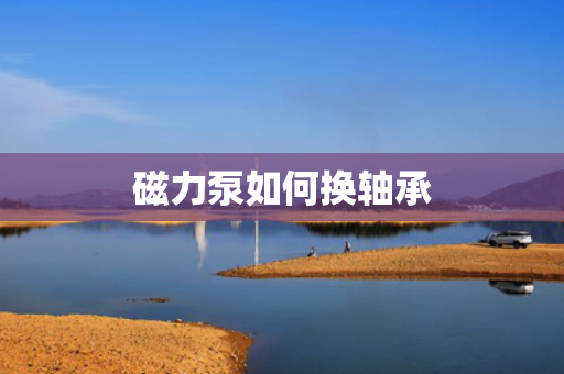 磁力泵如何换轴承