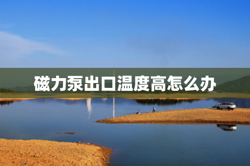 磁力泵出口温度高怎么办