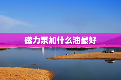 磁力泵加什么油最好