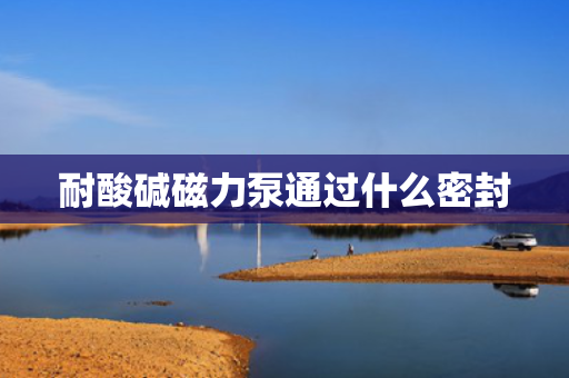 耐酸碱磁力泵通过什么密封