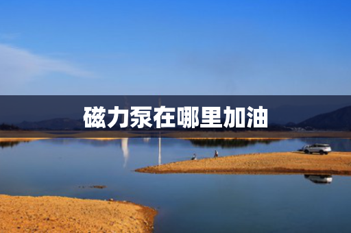 磁力泵在哪里加油