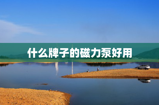 什么牌子的磁力泵好用