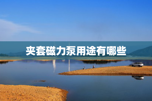 夹套磁力泵用途有哪些