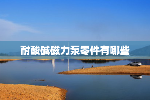 耐酸碱磁力泵零件有哪些