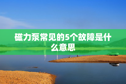 磁力泵常见的5个故障是什么意思
