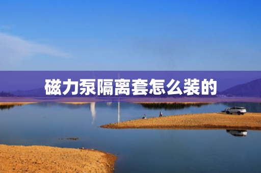 磁力泵隔离套怎么装的