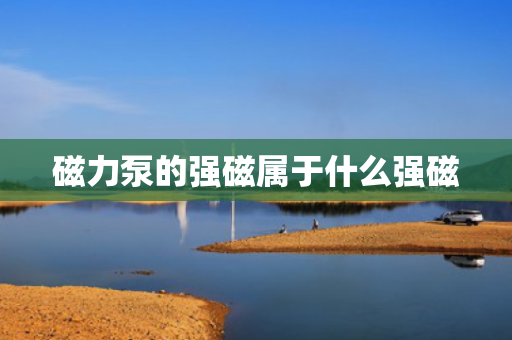 磁力泵的强磁属于什么强磁