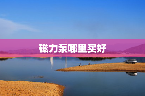 磁力泵哪里买好