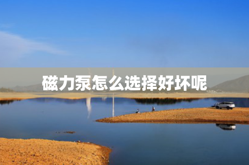磁力泵怎么选择好坏呢