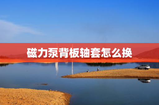磁力泵背板轴套怎么换