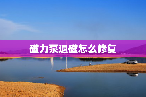 磁力泵退磁怎么修复