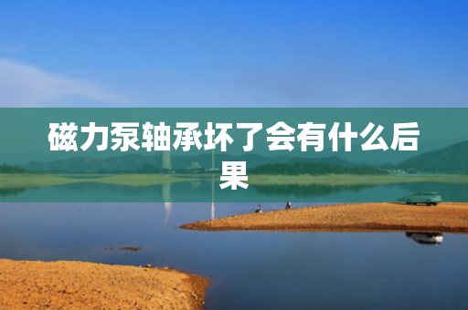 磁力泵轴承坏了会有什么后果