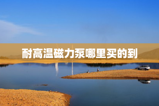 耐高温磁力泵哪里买的到