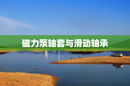磁力泵轴套与滑动轴承