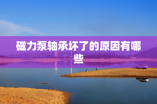 磁力泵轴承坏了的原因有哪些