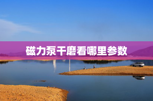 磁力泵干磨看哪里参数