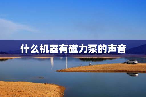 什么机器有磁力泵的声音