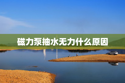 磁力泵抽水无力什么原因