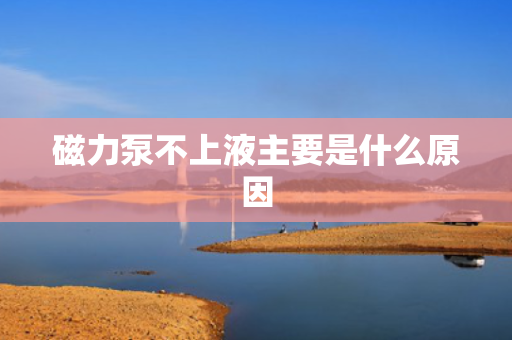 磁力泵不上液主要是什么原因