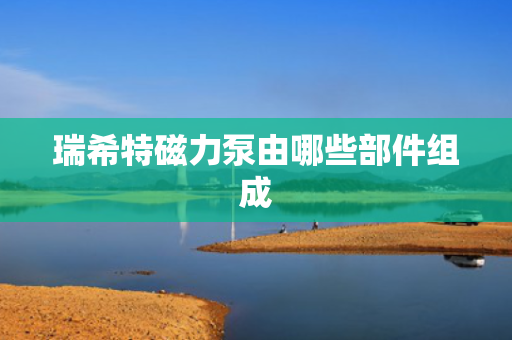 瑞希特磁力泵由哪些部件组成