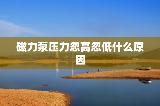 磁力泵压力忽高忽低什么原因