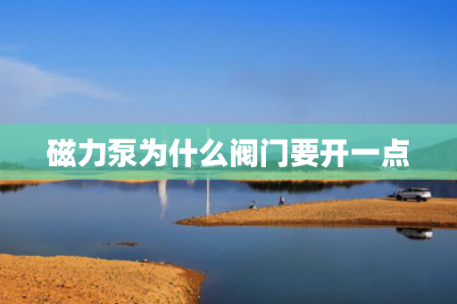 磁力泵为什么阀门要开一点