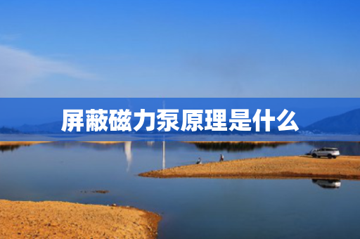 屏蔽磁力泵原理是什么