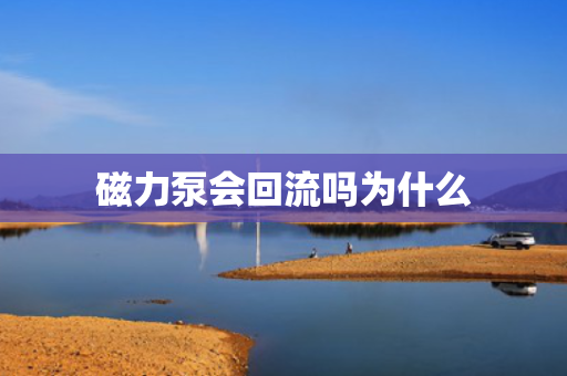 磁力泵会回流吗为什么