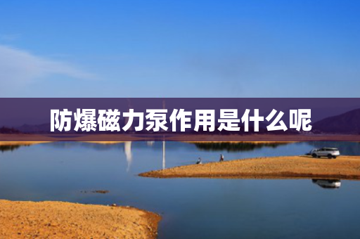 防爆磁力泵作用是什么呢