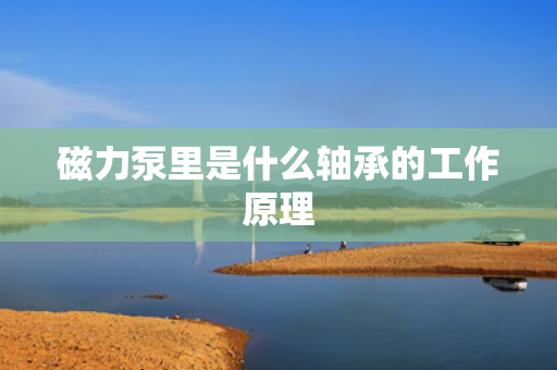 磁力泵里是什么轴承的工作原理