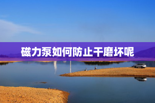 磁力泵如何防止干磨坏呢