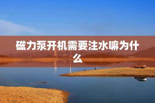 磁力泵开机需要注水嘛为什么