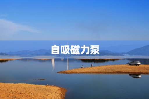 自吸磁力泵