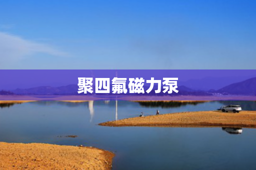 聚四氟磁力泵