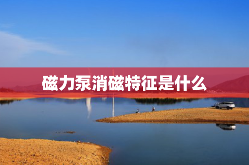 磁力泵消磁特征是什么