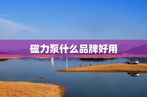 磁力泵什么品牌好用