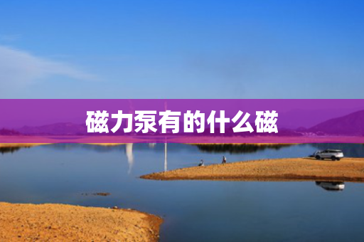 磁力泵有的什么磁