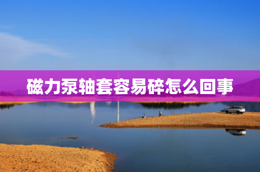 磁力泵轴套容易碎怎么回事