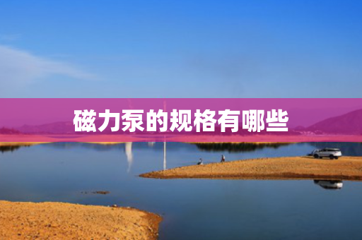 磁力泵的规格有哪些