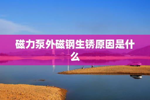 磁力泵外磁钢生锈原因是什么