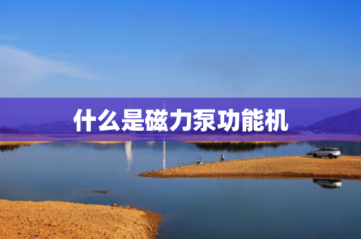 什么是磁力泵功能机
