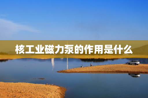 核工业磁力泵的作用是什么